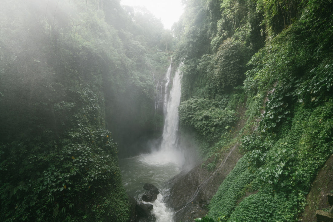 The Power of Spending 10 Minutes in Nature