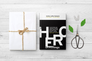 The Hero Hauntings by Ashley LaRae Sampson front cover and gift wrap